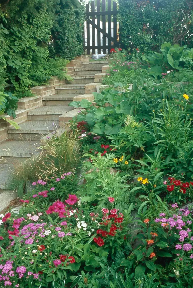 Use This Slope Garden Plan to Add Color and Stop Erosion